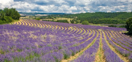 Provence_0485